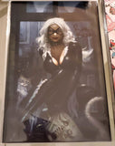 Black Cat #1 - Exclusive Variant - Signed at NYCC and MegaCon - Ryan Brown
