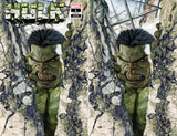 Hulk #1 - Exclusive Variant - Marco Turini