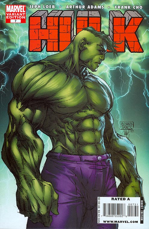 Hulk #7 - Variant - Michael Turner – Comic Kingdom Creative