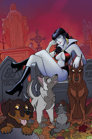 Vampirella #25 - 1:11 Ratio Variant - Tony Fleecs, Trish Forstner