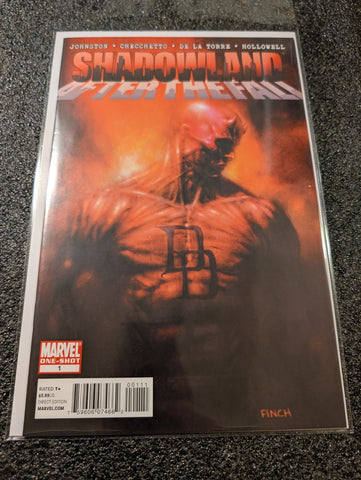Shadowland: after the Fall #1 (Marvel Comics February 2011) NM