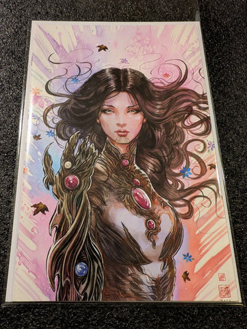 Witchblade #13 Cover F-David Mack Virgin 1:50 (Image Comics Malibu Comics) NM