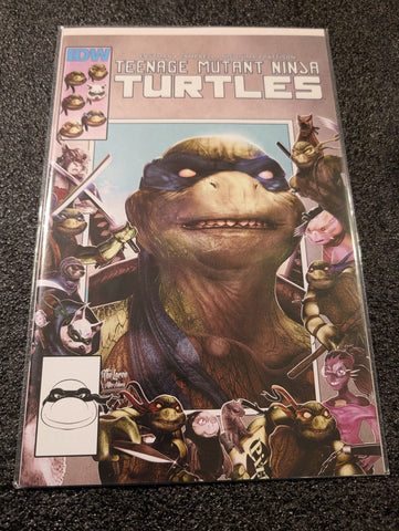Teenage Mutant Ninja Turtles #111 Hal Laren Cover (IDW Publishing 2020) NM