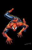 Amazing Spider-Man #6 (Legacy #900) - DAMAGED - Exclusive Variant - Tyler Kirkham