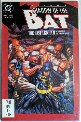 Batman: Shadow of the Bat #1 - Brian Stelfreeze