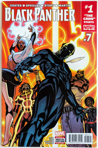 Black Panther #7 - Brian Stelfreeze