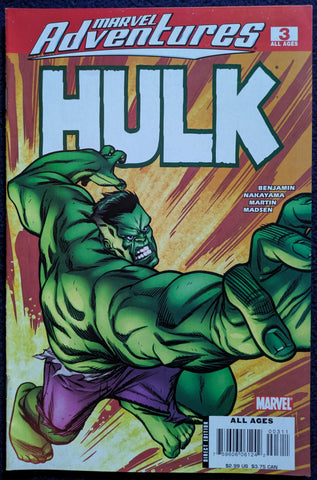 Marvel Adventures: Hulk #3 - David Williams