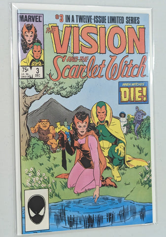 The Vision and the Scarlet Witch #3 - Richard Howell