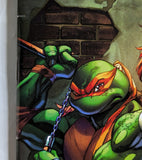 Teenage Mutant Ninja Turtles #20: 300th Issue Special - DAMAGED - 1:200 Ratio Variant - J. Scott Campbell