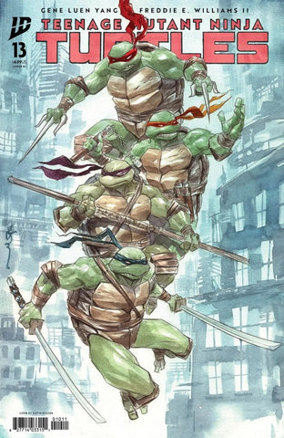 Teenage Mutant Ninja Turtles #13 - 1:100 Ratio Variant - Dustin Nguyen