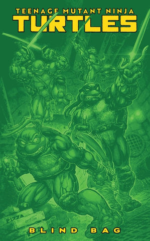 Teenage Mutant Ninja Turtles #13 - Blind Bag
