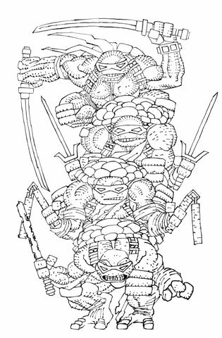 Teenage Mutant Ninja Turtles #20: 300th Issue Special - 1:300 Ratio Variant - Frank Miller
