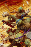 Teenage Mutant Ninja Turtles #20: 300th Issue Special - CK Shared APLHA Exclusive - Björn Barends