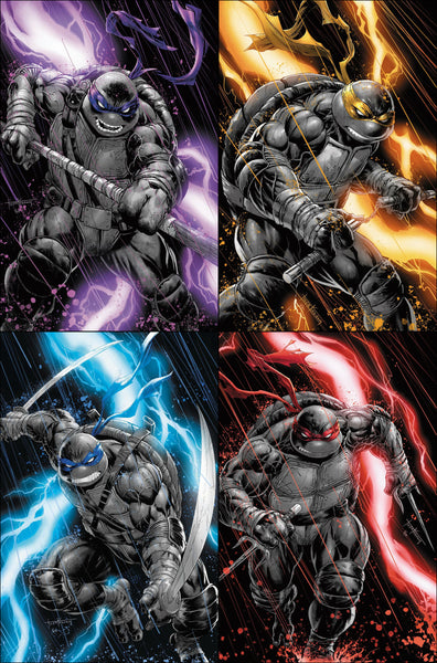 Teenage Mutant Ninja Turtles #20: 300th Issue Special - DAMAGED