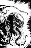 Venom #28 & #29 - Exclusive Sketch Variants - Valerio Giangiordano