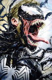 Venom: Separation Anxiety #1 - CK Shared Exclusive - DAMAGED COPY - Mike Mayhew