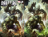 Hulk #1 - CK Exclusive - Alan Quah