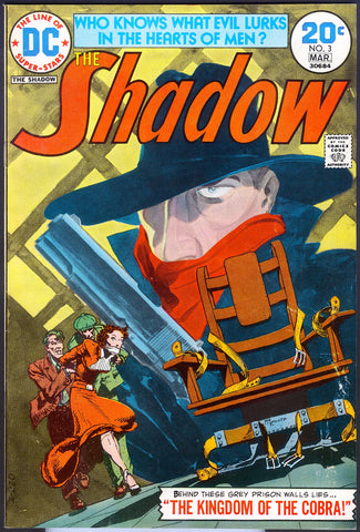 Shadow (The) #3 - Michael (WM) Kaluta