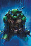 Teenage Mutant Ninja Turtles/Usagi Yojimbo: WhereWhen #3 - CK Shared Exclusive - Ivan Tao, Björn Barends