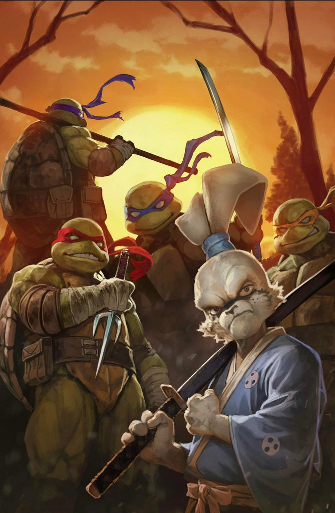 Teenage Mutant Ninja Turtles Usagi Yojimbo Wherewhen #2 1:10 Myer Variant  VF/NM – Ultimate Comics